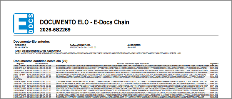 Exemplo de Documento-Elo do E-Docs Chain